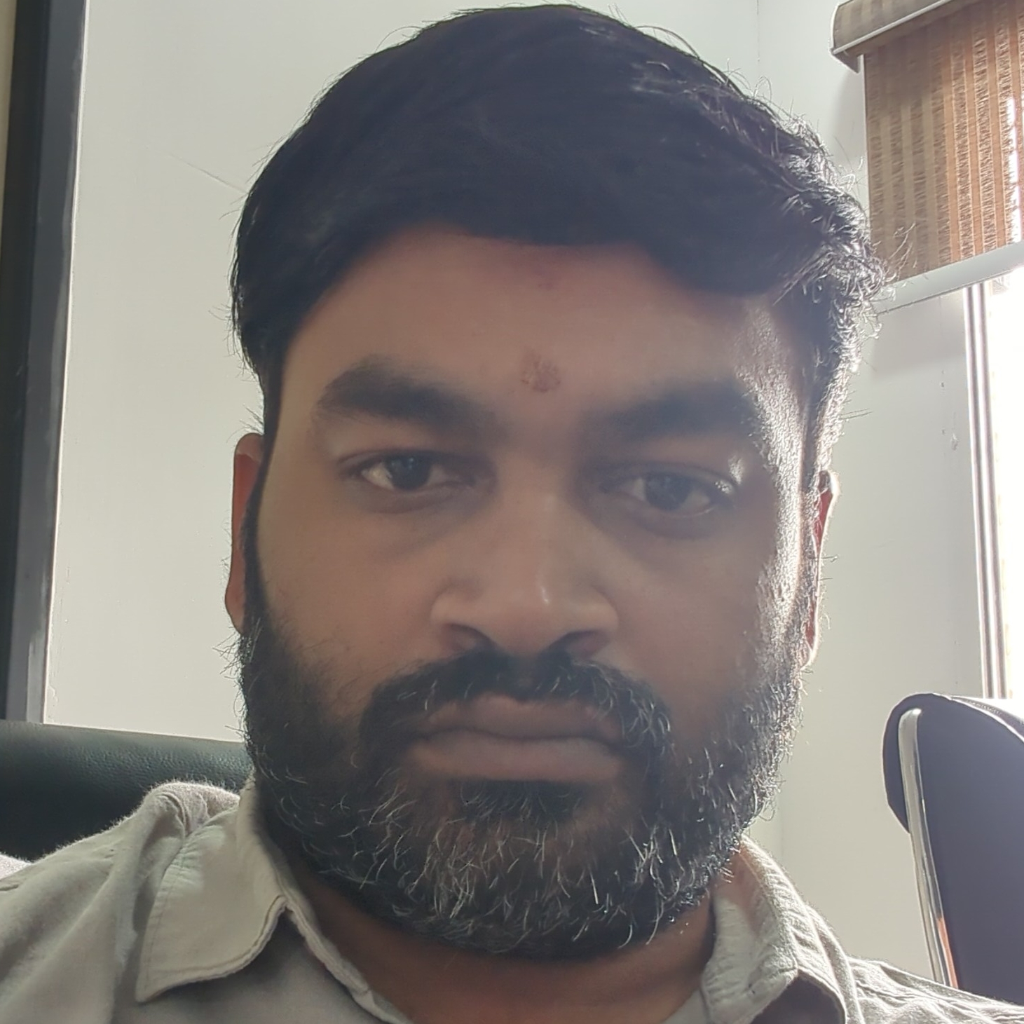 Satish Mullapudi
