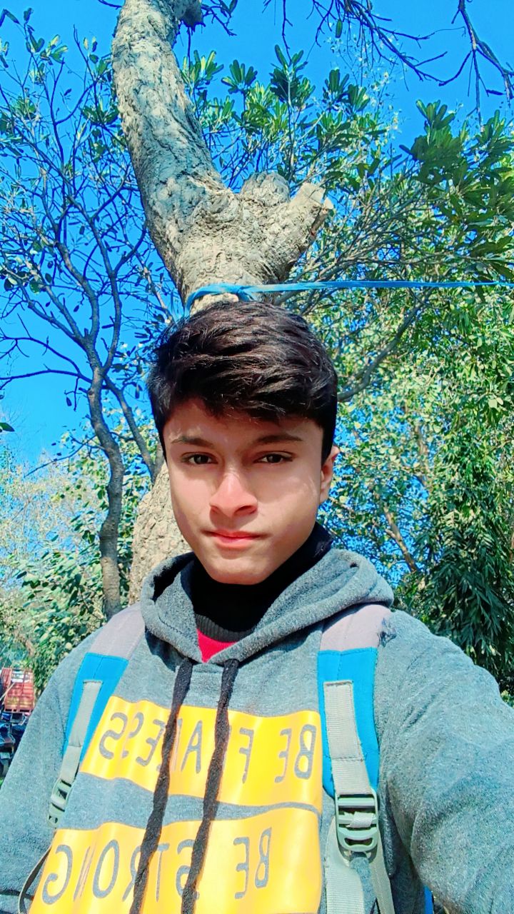 Ansh Yadav